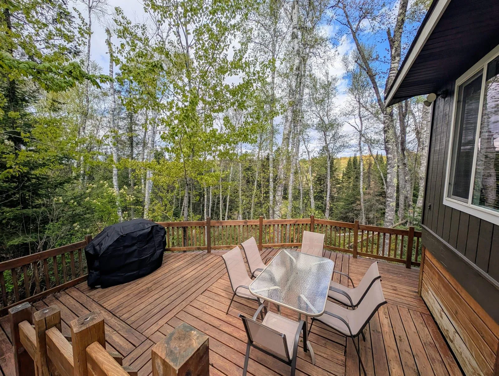 Rustic Fawn deck surrounded by birch forest
