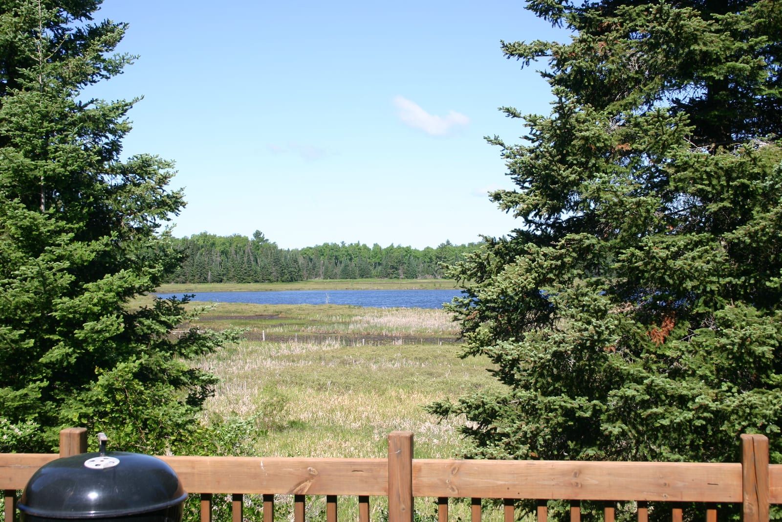 Deck view overlooking wetlands