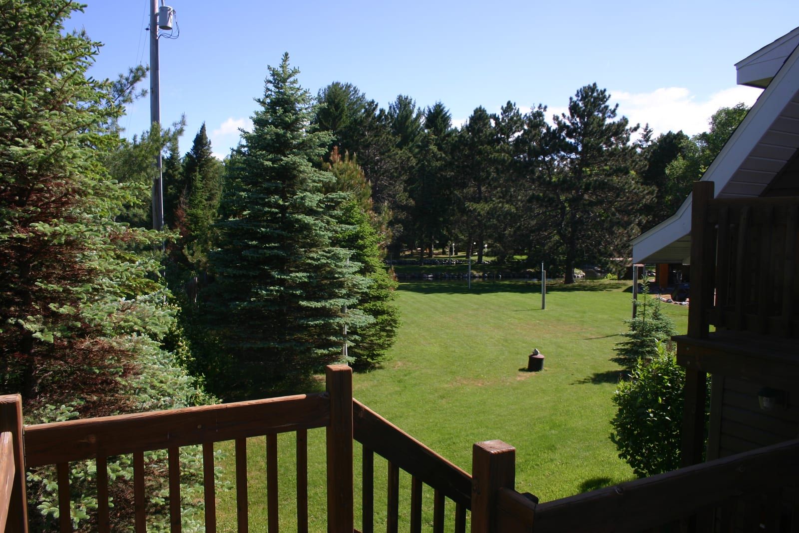 View of yard and surrounding forest from deck
