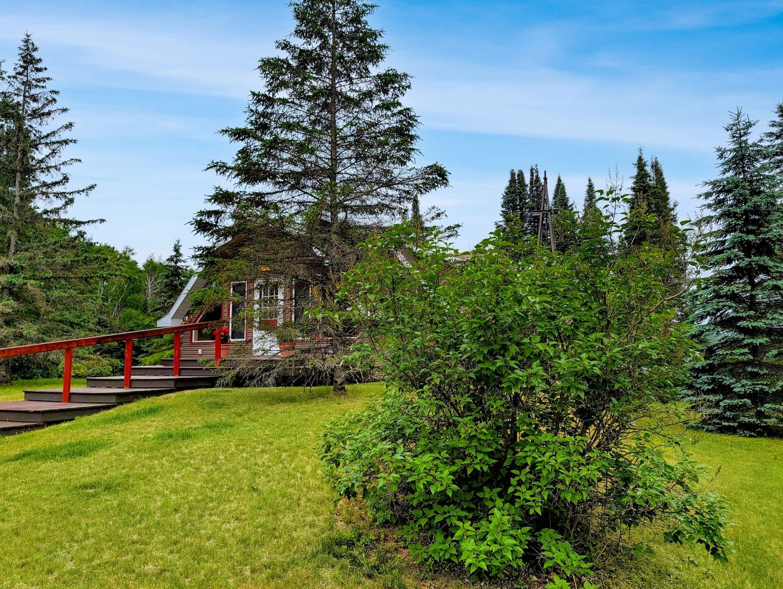 Harlequin Haven exterior with walkway and evergreens