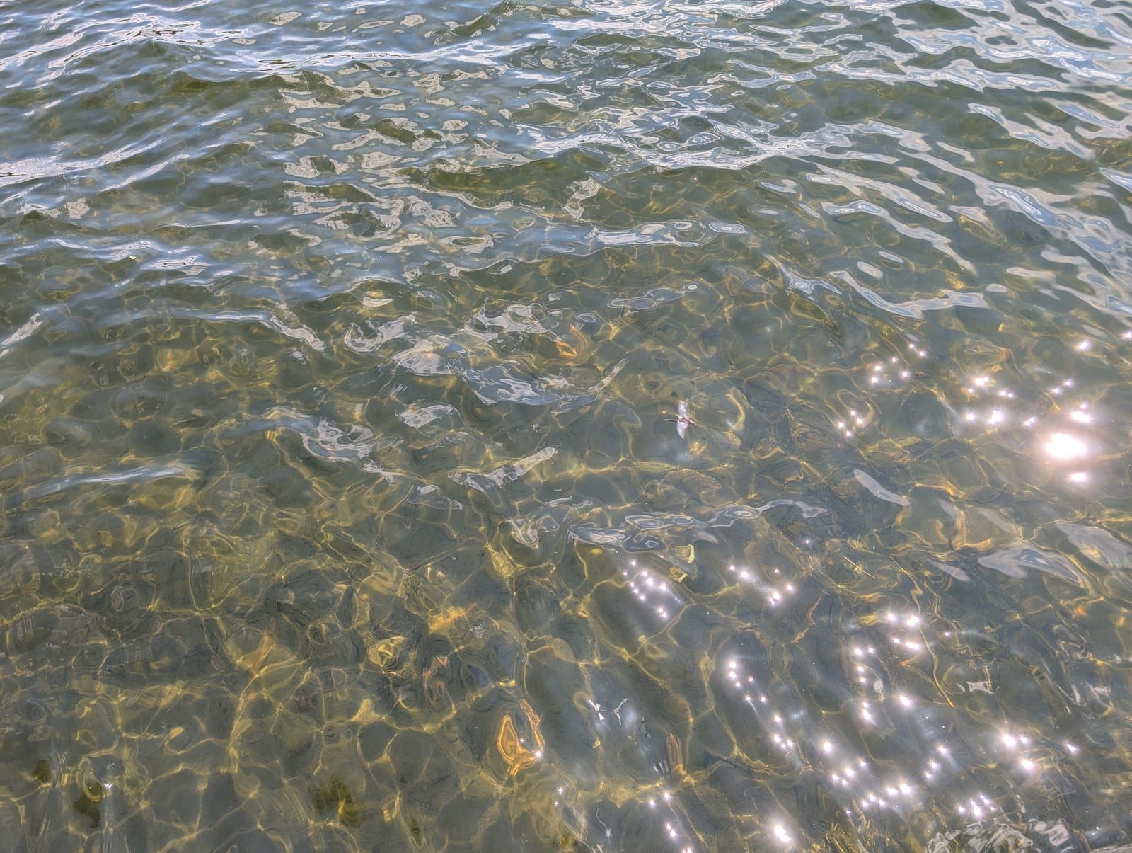 Crystal clear water of White Birch Lake