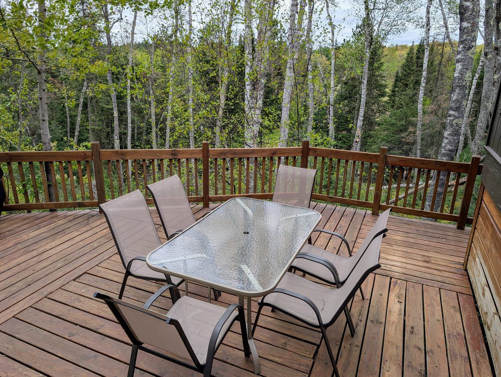 Deck dining area with birch trees in background